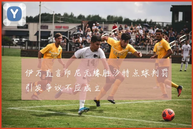 伊万直言印尼无缘胜沙特点球判罚引发争议不应成立