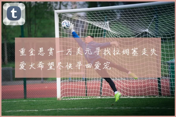 重金悬赏一万美元寻找拉姆塞走失爱犬希望尽快寻回爱宠