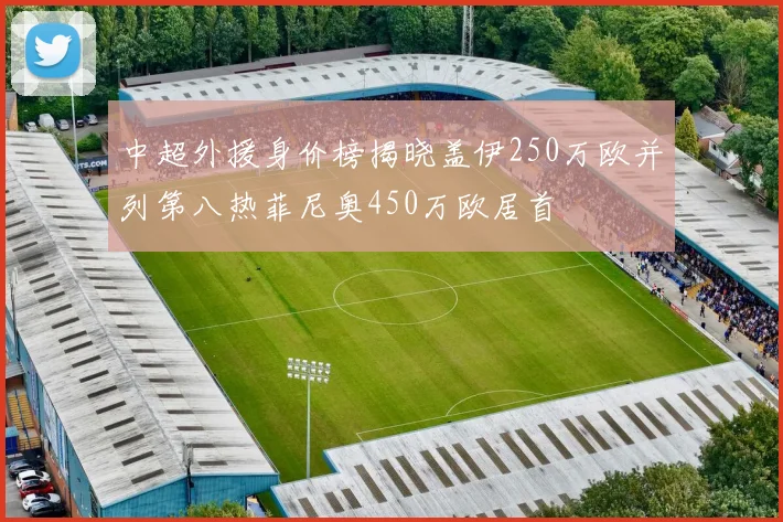 中超外援身价榜揭晓盖伊250万欧并列第八热菲尼奥450万欧居首