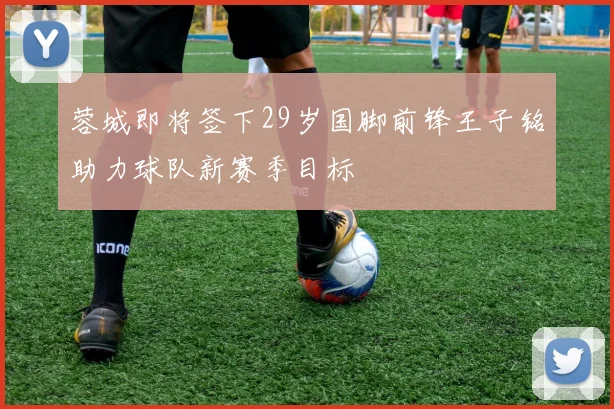 蓉城即将签下29岁国脚前锋王子铭助力球队新赛季目标