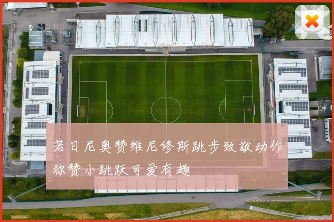 若日尼奥赞维尼修斯跳步致敬动作称赞小跳跃可爱有趣
